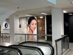 Midpoint Orchard (D9), Shop House #485143541